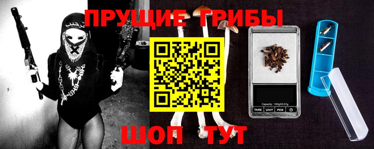 Междуреченск  Псилоцибиновые грибы MAGIC MUSHROOMS  что такое   Вход с VPN 